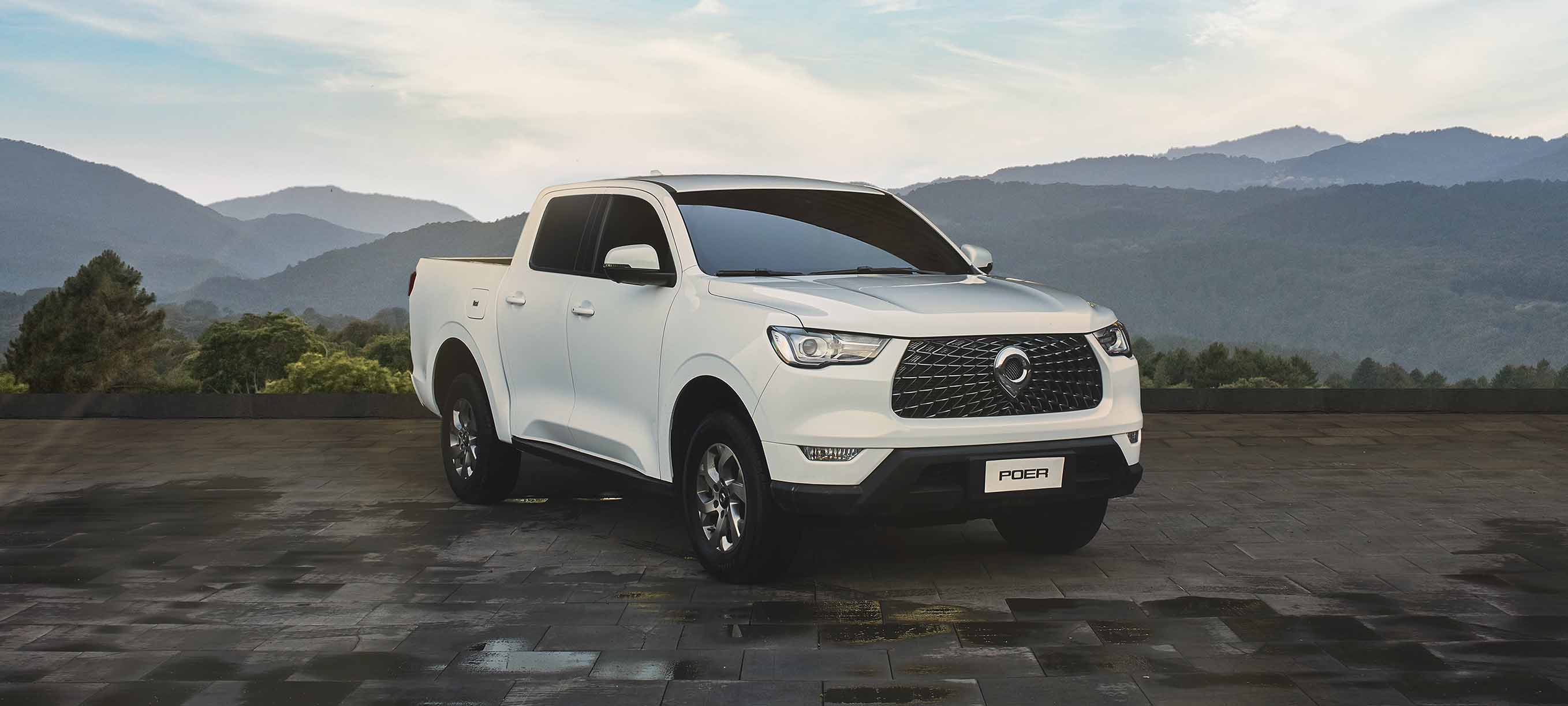 Camionetas doble cabina: tipos de motores 